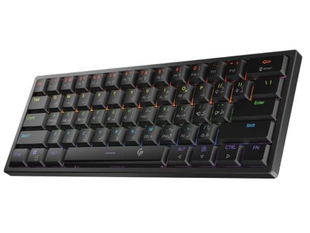 Porodo Low-Profile Mechanical TKL Keyboard Rainbow Online now