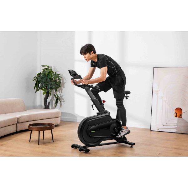 King Smith Spinning Bike - Black Online