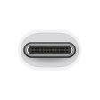 Apple Thunderbolt To Gigabit Ethernet Adapter - White Fashion