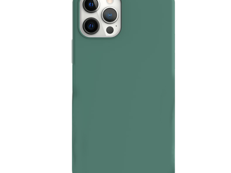 Araree Typo Skin Case For iPhone 12 Pro Max - Pine Green Online Sale